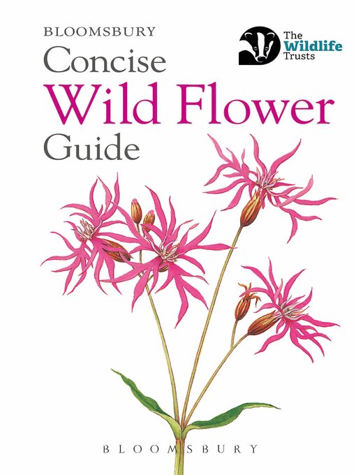 Title details for Concise Wild Flower Guide by Bloomsbury - Available